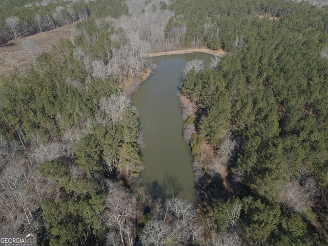 293AC Hopewell Rd, Forsyth, GA 31029