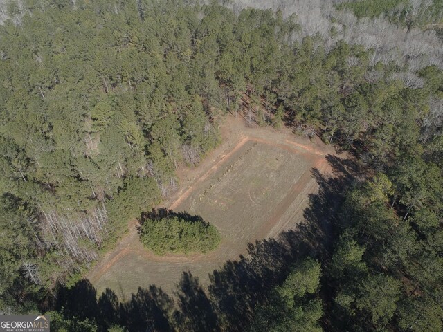 293AC Hopewell Rd, Forsyth, GA 31029
