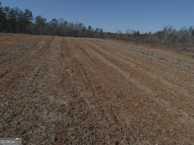 293AC Hopewell Rd, Forsyth, GA 31029