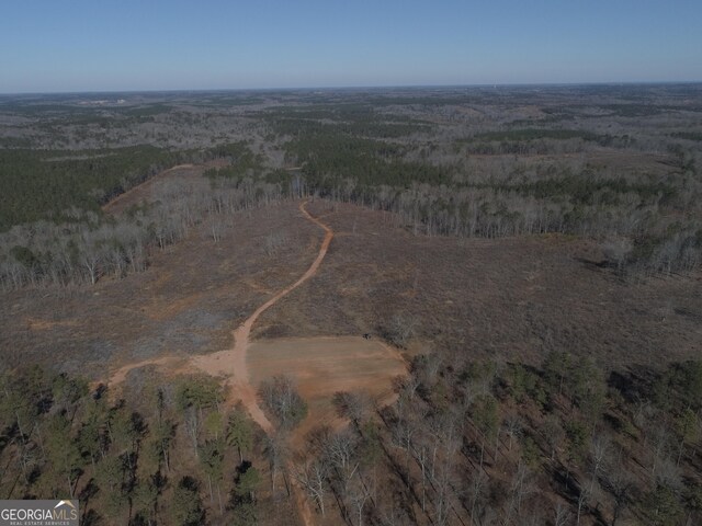 293AC Hopewell Rd, Forsyth, GA 31029