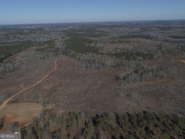 293AC Hopewell Rd, Forsyth, GA 31029