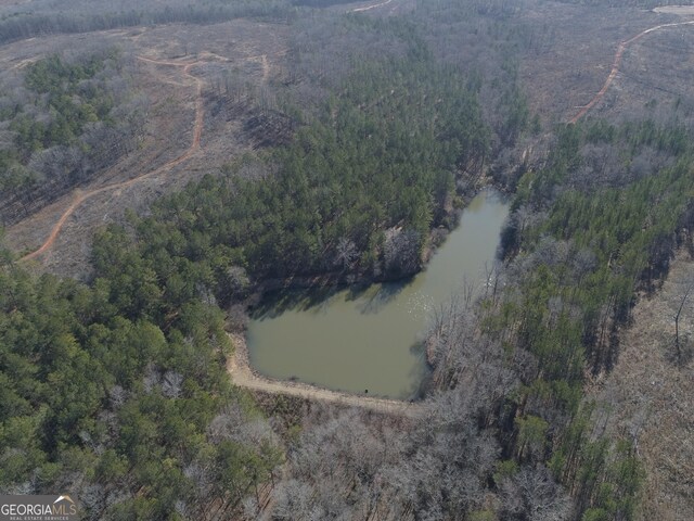293AC Hopewell Rd, Forsyth, GA 31029