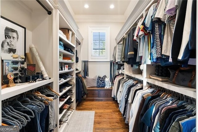 walk in closet featuring hardwood / wood-style flooring