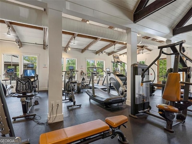 workout area featuring plenty of natural light and vaulted ceiling