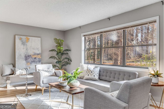 living room featuring a healthy amount of sunlight, a textured ceiling, and light hardwood / wood-style floors