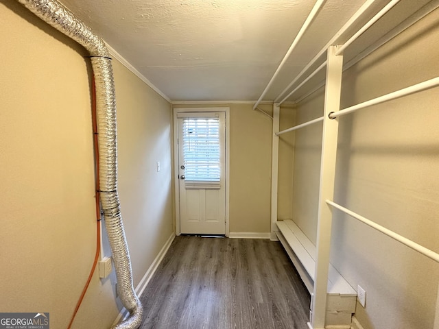 walk in closet featuring hardwood / wood-style floors