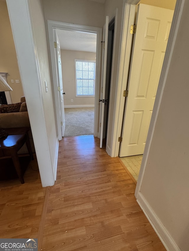 hallway with light hardwood / wood-style flooring