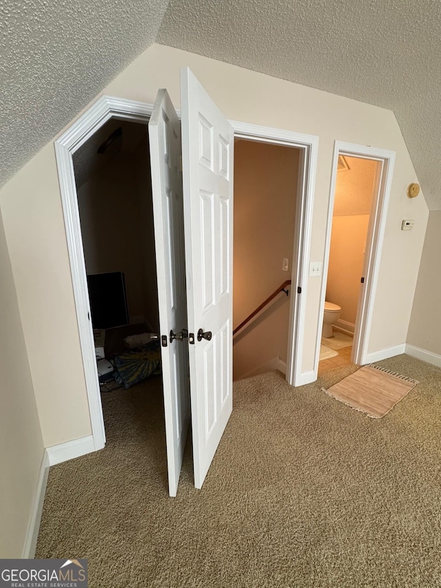 additional living space with a textured ceiling, lofted ceiling, and carpet flooring