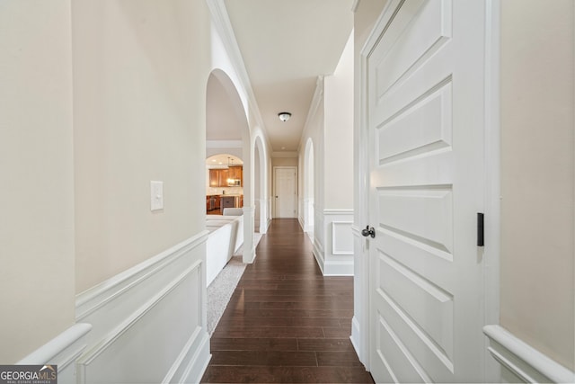 hallway with crown molding and dark hardwood / wood-style floors