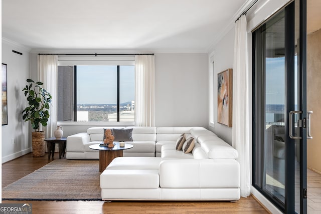 living room featuring ornamental molding, baseboards, and wood finished floors