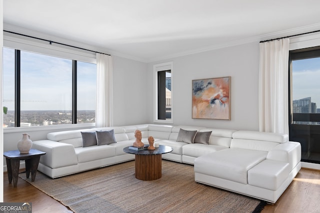 living area with crown molding, wood finished floors, and a city view