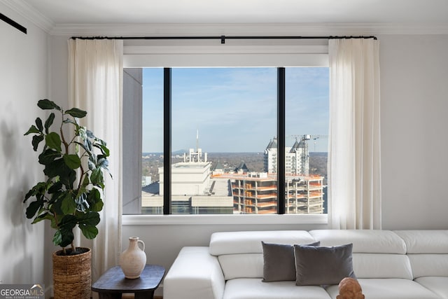 living area featuring a wealth of natural light, a view of city, and ornamental molding