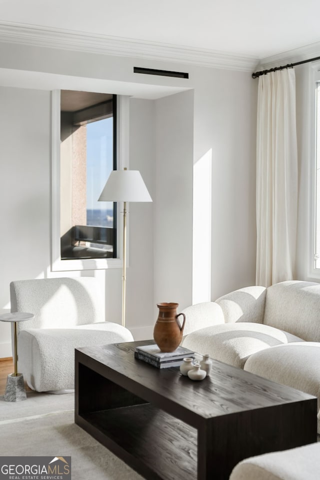 living room with ornamental molding