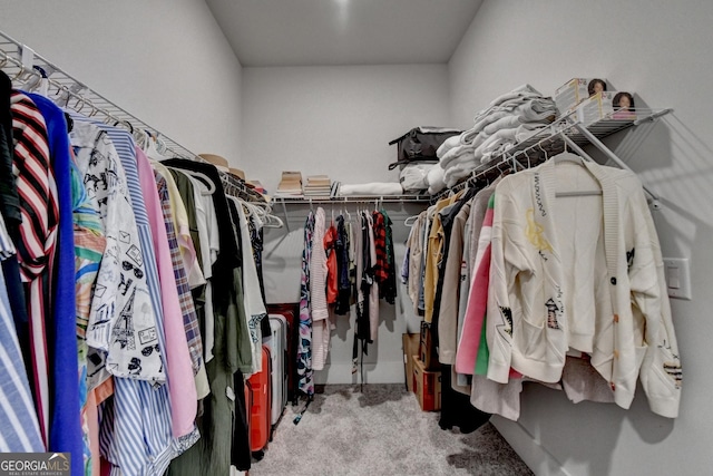 spacious closet featuring carpet flooring