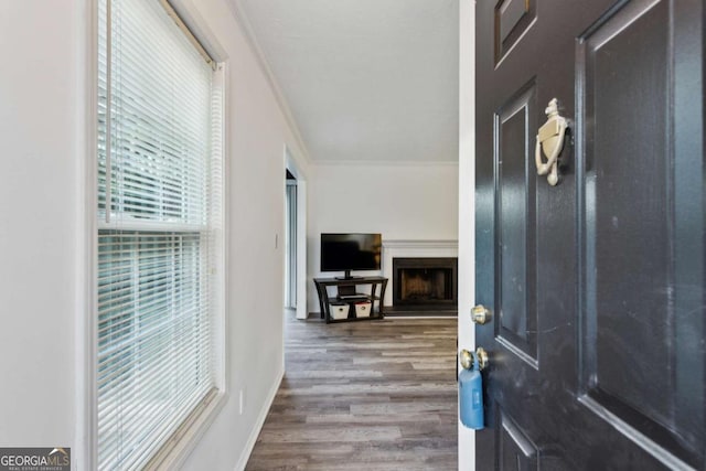 interior space with baseboards, ornamental molding, a fireplace with raised hearth, and wood finished floors