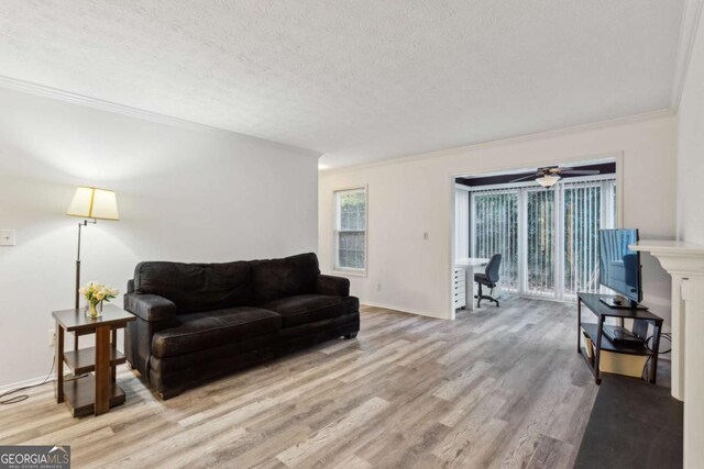 1608 Vicksburg Pl, Atlanta, GA 30350 - living room with wood finished floors, ornamental molding, and a textured ceiling
