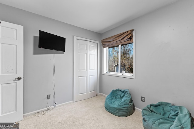 living area featuring carpet