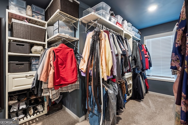 walk in closet featuring carpet