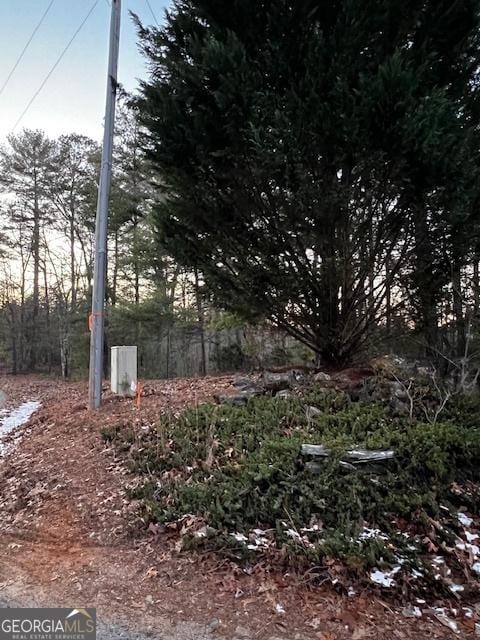 Listing photo 2 for LOT4 Cook Henry Rd, Morganton GA 30560