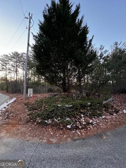 Listing photo 3 for LOT4 Cook Henry Rd, Morganton GA 30560