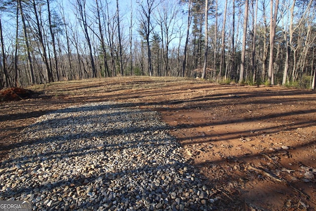 LOT10 Johnston Rd, Blue Ridge GA, 30513 land for sale