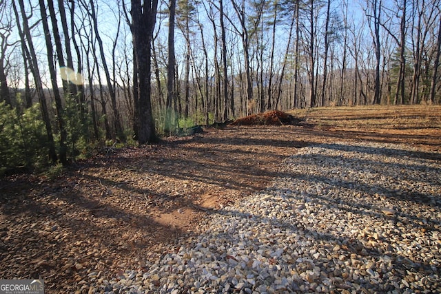 Listing photo 2 for LOT10 Johnston Rd, Blue Ridge GA 30513