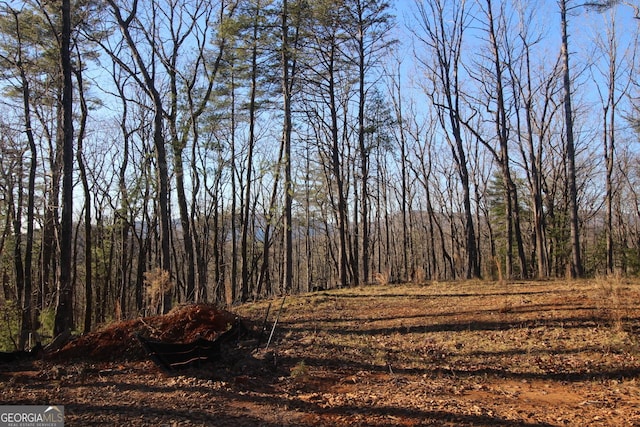 Listing photo 3 for LOT10 Johnston Rd, Blue Ridge GA 30513