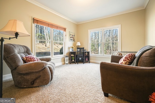 carpeted living room with a wealth of natural light and crown molding