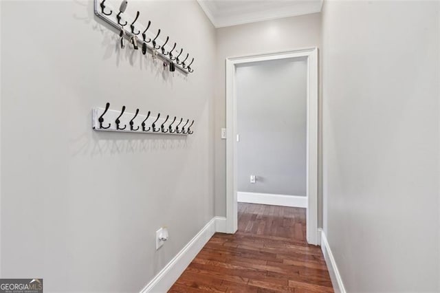 hall featuring crown molding and dark wood-type flooring