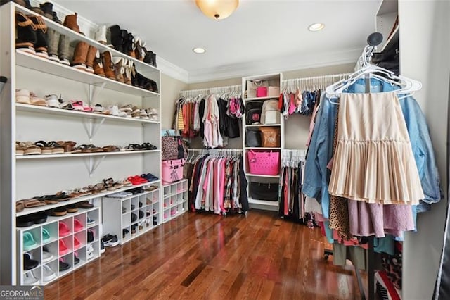 spacious closet with dark hardwood / wood-style floors