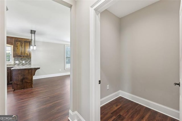 hallway featuring crown molding and dark hardwood / wood-style floors