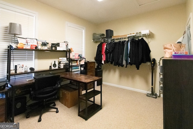 home office with carpet floors