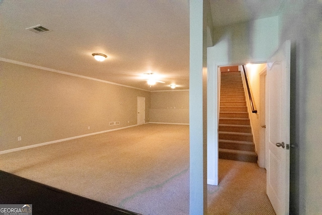 basement featuring carpet and crown molding