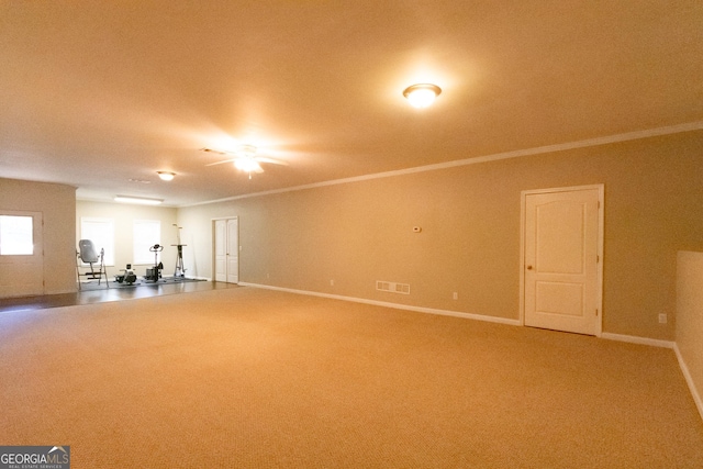 interior space with carpet flooring and ornamental molding