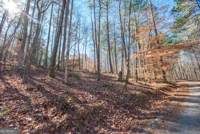 view of landscape