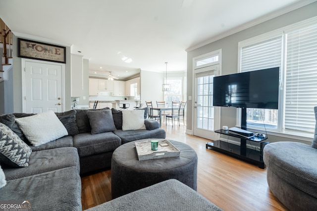 living room featuring wood-type flooring and ornamental molding