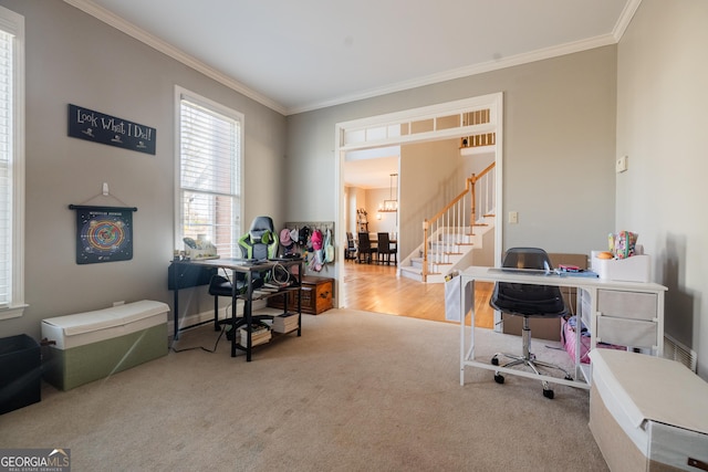 carpeted office space featuring ornamental molding