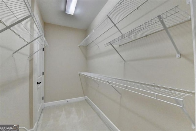 view of walk in closet