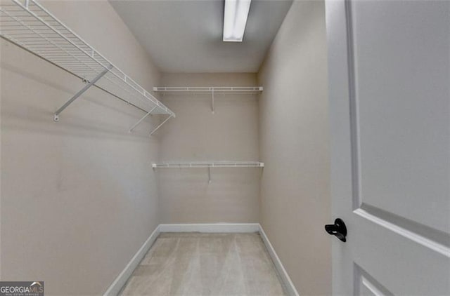 walk in closet with carpet flooring