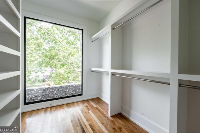 spacious closet with light hardwood / wood-style flooring