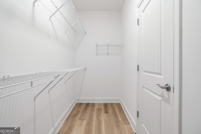 spacious closet featuring light wood-style floors