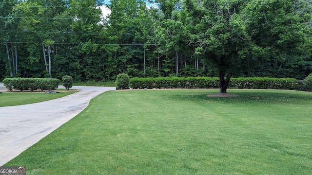 view of home's community featuring a yard