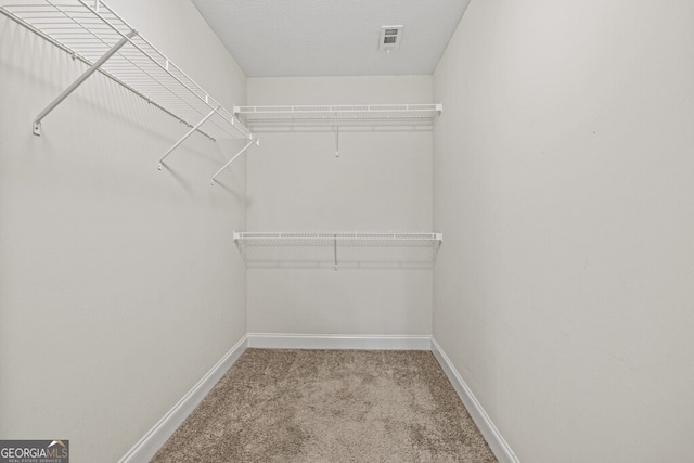 spacious closet with light carpet