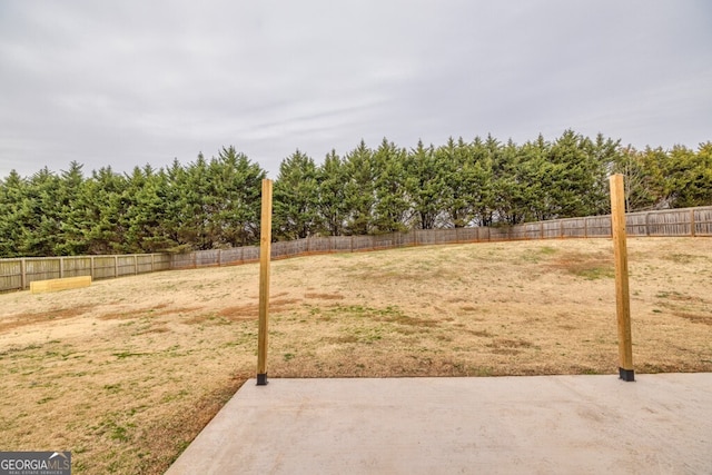 view of yard featuring a patio