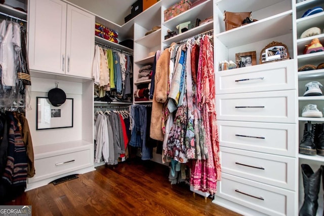 spacious closet with dark hardwood / wood-style flooring