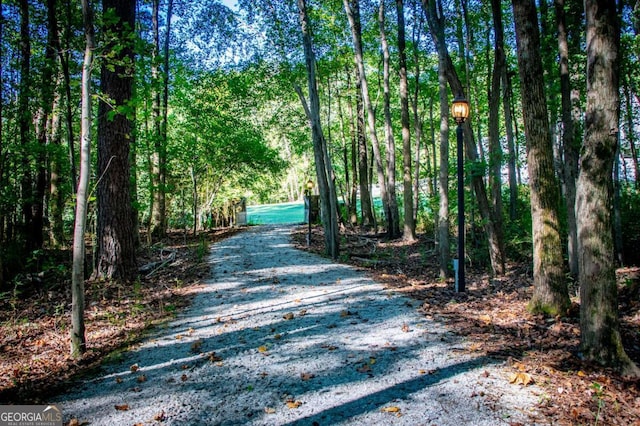 105 Fuller Dr, Carrollton, GA 30117 - view of street