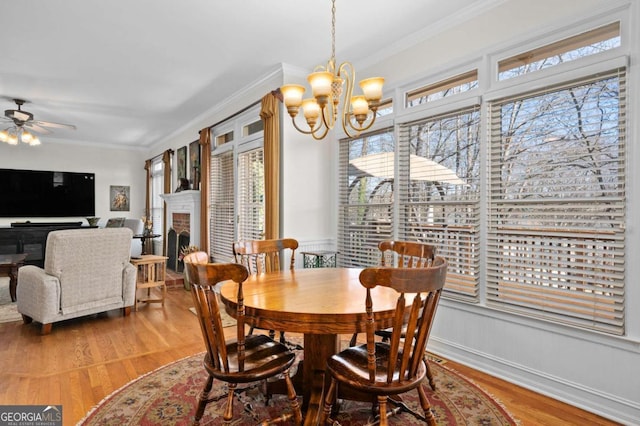 dining room featuring ceiling fan with notable chandelier, ornamental molding, and wood-type flooring