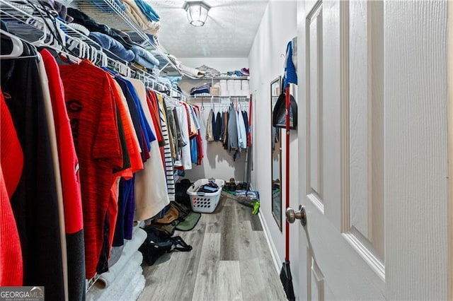 spacious closet with light wood-type flooring