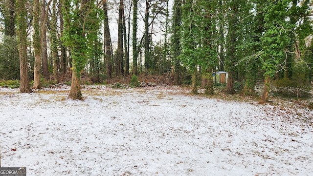 view of yard layered in snow