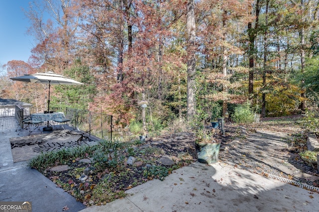 view of yard featuring a patio area